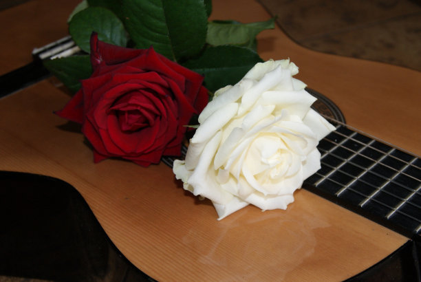 玫瑰在吉他图片下载