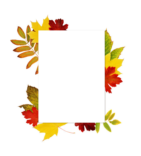 空卡片与秋天彩色的树叶图片下载