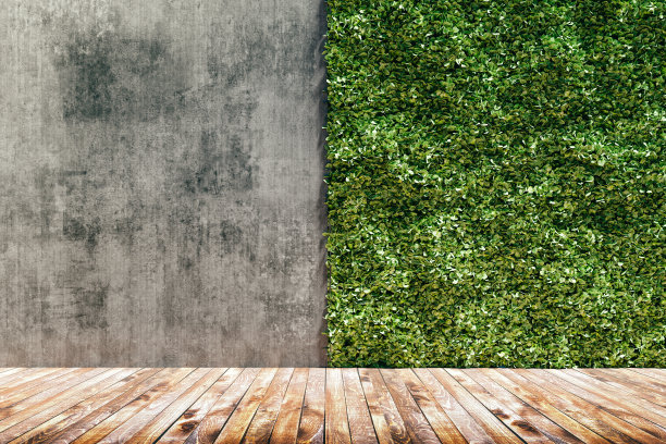 绿色新鲜的垂直花园和混凝土墙的3d渲染图片下载