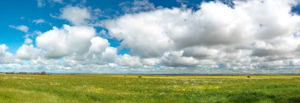 草地景观全景与悬云盘旋，主宰在澳大利亚西部的乡村一边。图片下载