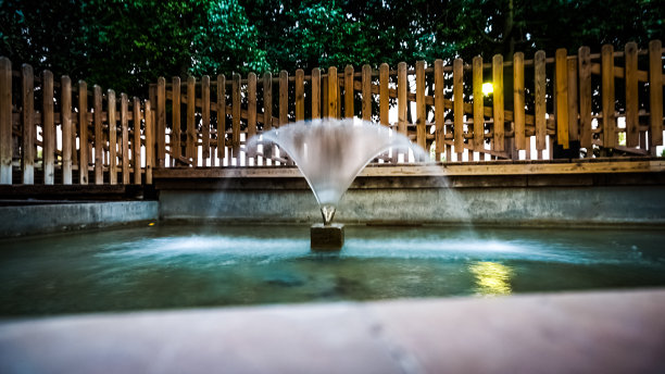 生命之源图片下载