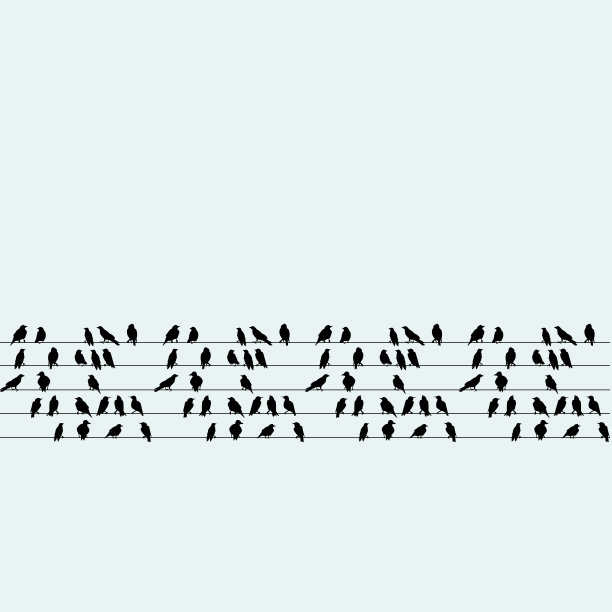 一群鸟坐在电线上图片下载