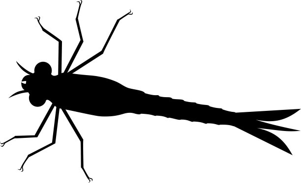 白色背景上蜻蜓若虫的黑色剪影图片下载