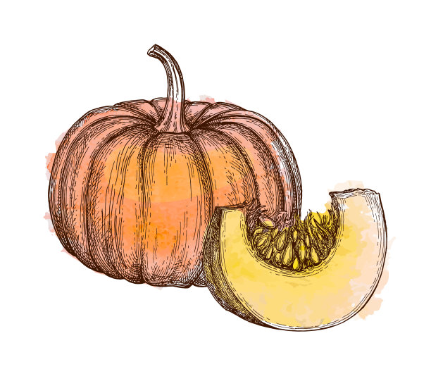 南瓜水墨画图片下载