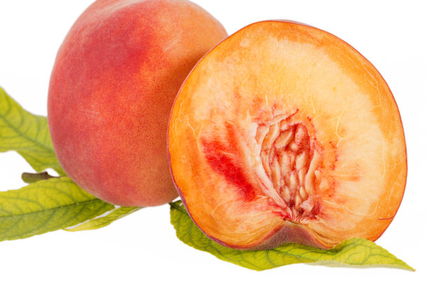 白色背景的新鲜桃子，整只和半只图片下载