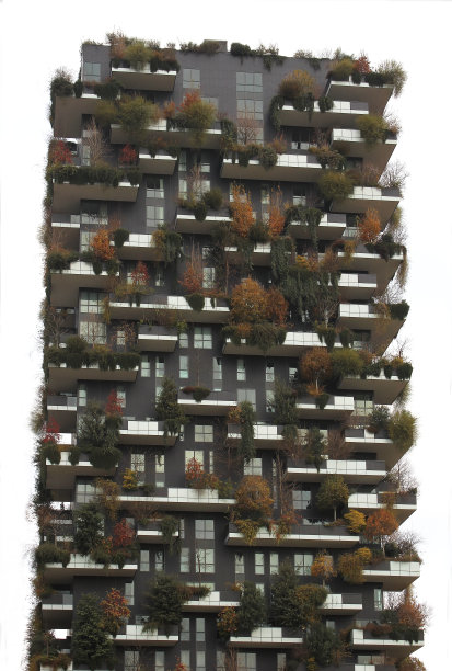 意大利米兰:垂直森林项目，意大利米兰Isola区有树木、灌木和树篱的高层建筑图片下载