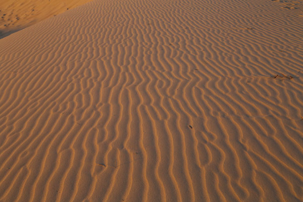 沙波纹图片下载