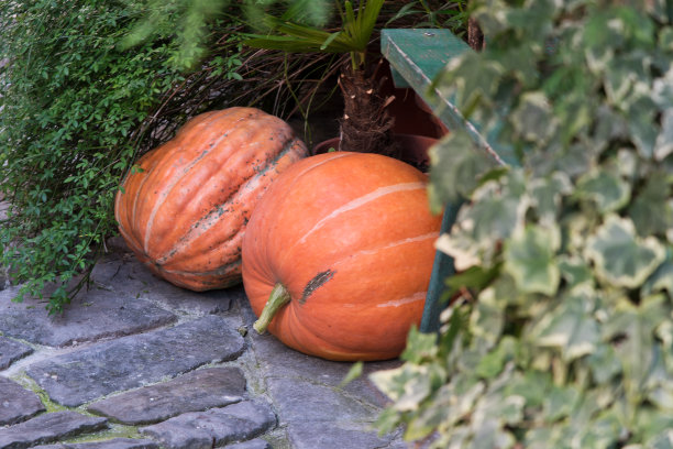 装饰南瓜在街道上，在一个地中海小镇的房子入口处图片下载