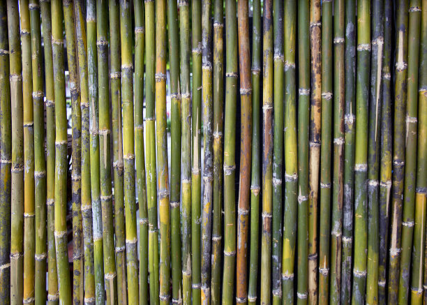 竹栅栏背景纹理图片下载