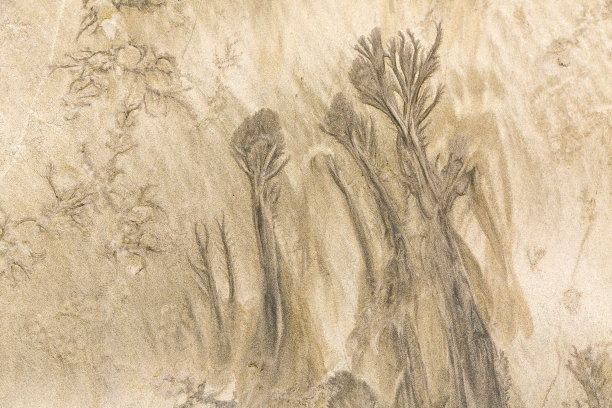 山和森林。图片下载