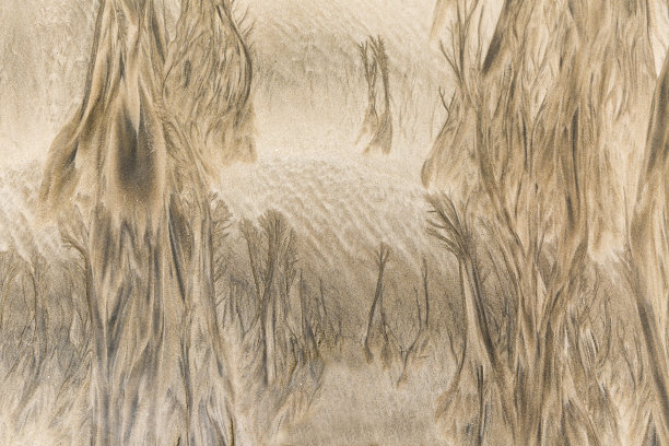 山和森林。图片下载