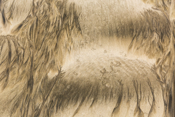 山和森林。图片下载