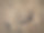 木制背景图片下载