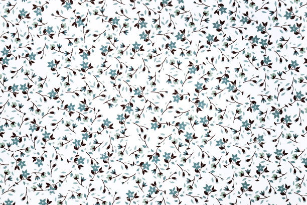 美丽无缝花纹图片下载