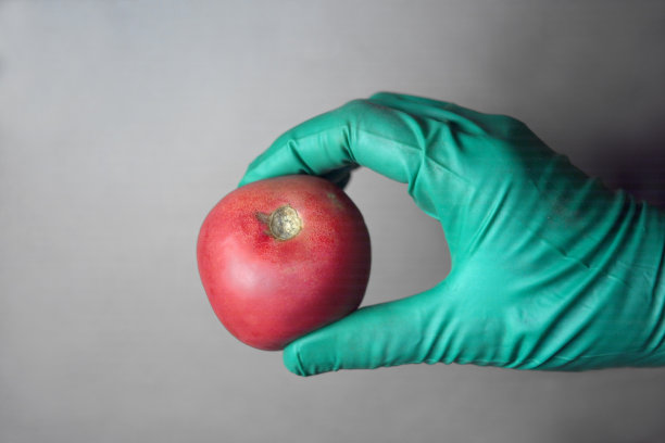 被宠坏的蔬菜图片下载