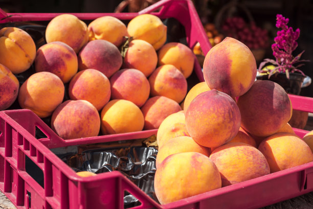 盛夏水果盒。阳光明媚的夏天的一天。健康的食物的照片图片下载