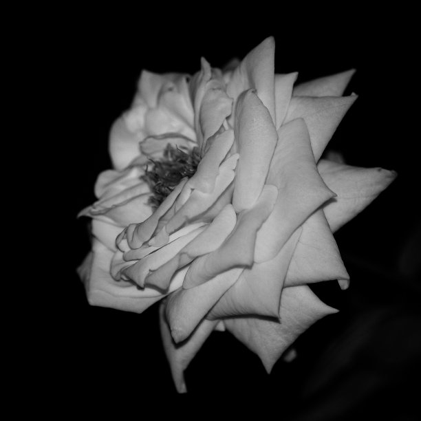 灰度等级上升图片下载