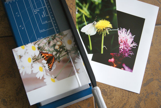 裁剪照片图片下载