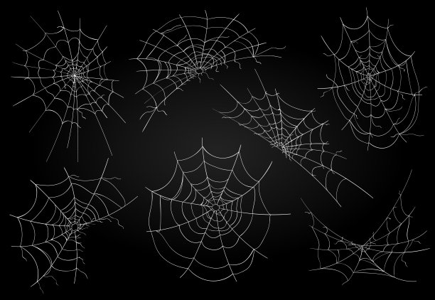 蜘蛛网图标设置图片下载