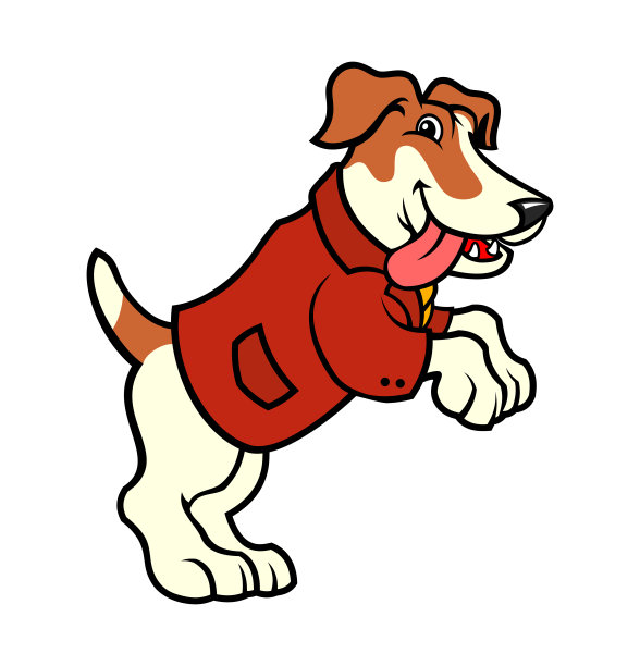 杰克罗素狗在夹克站立后腿图片下载