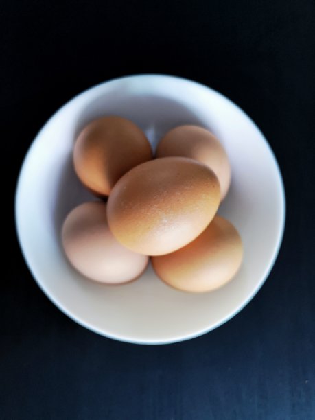 新鲜的鸡蛋图片下载