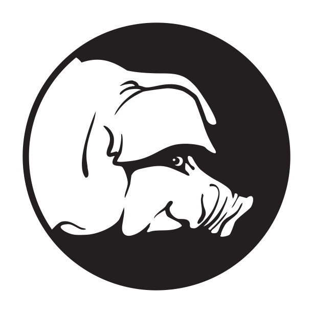 猪头剪影-黑白矢量孤立的插图。图片下载