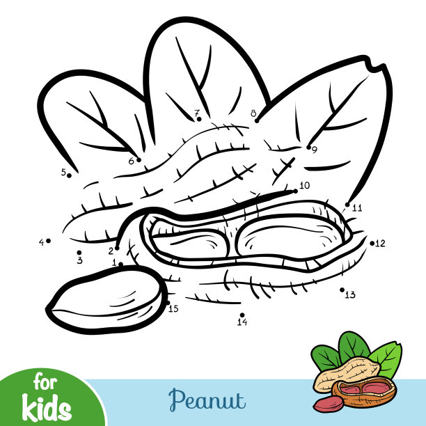 数字游戏，儿童教育游戏，花生图片下载