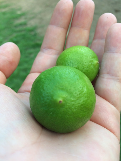 手里拿着柠檬图片下载