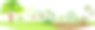 厨房花园或菜园，种植不同的蔬菜和果树图片下载