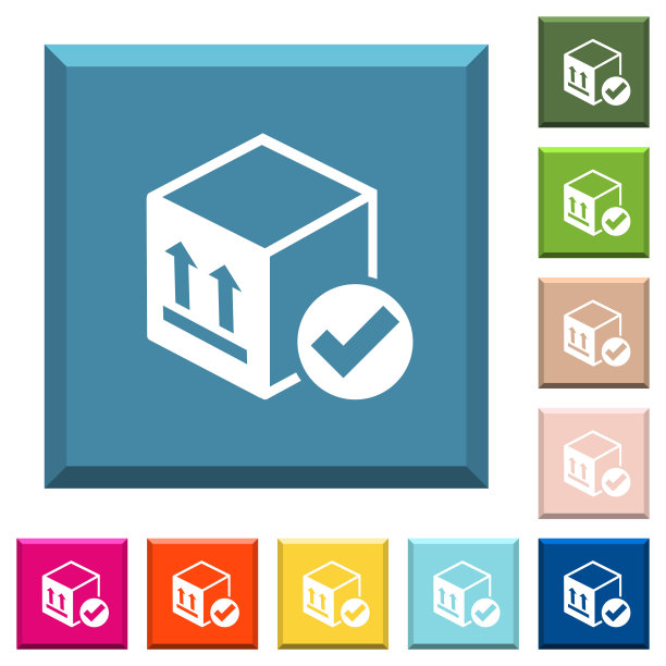 包裹递送白色图标上有边的方形按钮图片下载