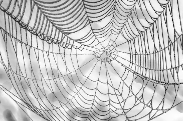 抽象的蜘蛛网黑白颠倒图案图片下载