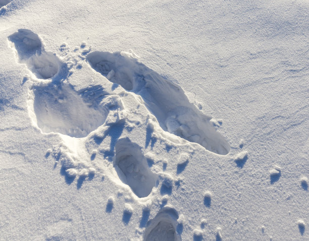 路上的脚印图片下载