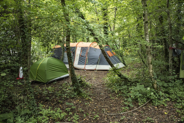 帐篷在森林图片下载