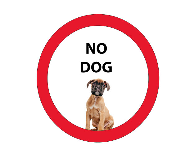 不允许狗图片下载