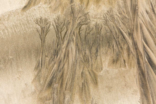 山和森林。图片下载