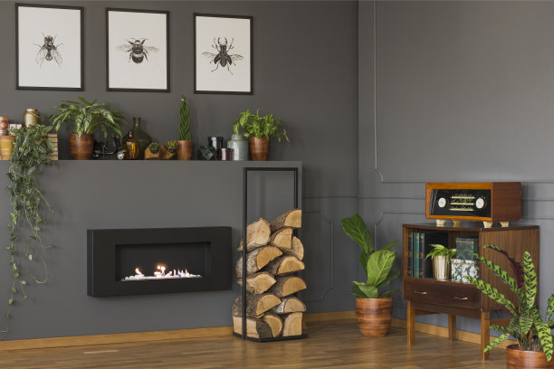 一个古董客厅内部的真实照片，有一个架子，植物和一个壁炉。墙上有一个柜子，里面有书、收音机和海报图片下载