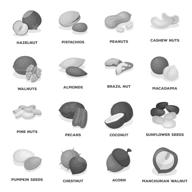 不同种类的坚果单色图标在集合设计。坚果食物矢量符号股票网络插图。图片下载
