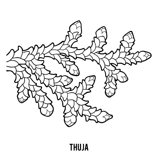 儿童涂色书，图佳图片下载