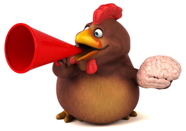 有趣的鸡图片下载