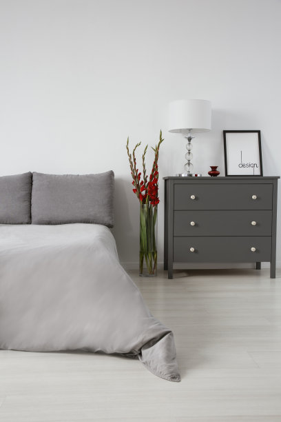 真实的照片，一个灰色的卧室内部有一张床，五斗橱和红色的花。空墙，放上你的画图片下载