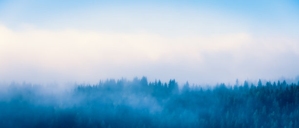 雾气蒙蒙的秋天森林景色。来自芬兰索特卡莫的照片。图片下载