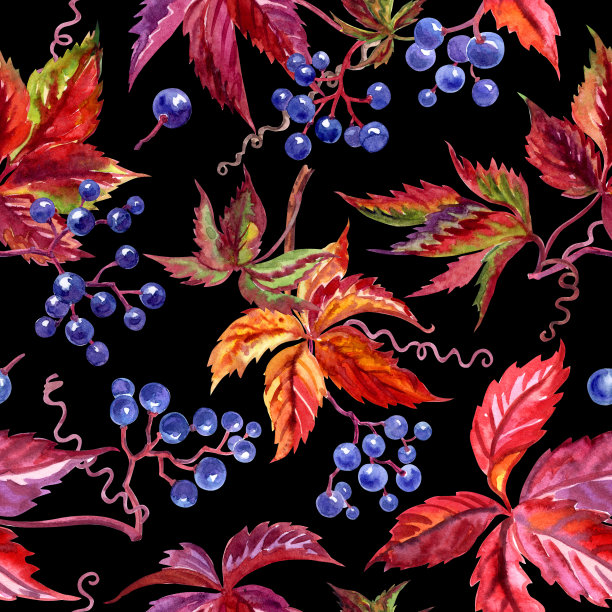 无缝模式的野生葡萄图片下载