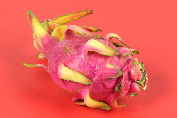 火龙果在红色背景上分离图片下载