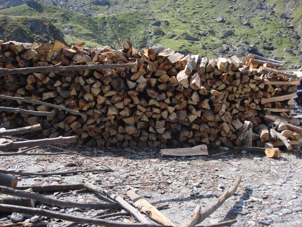 罗马尼亚阿尔杰什县的旅行照片：准备砍伐的树木图片下载