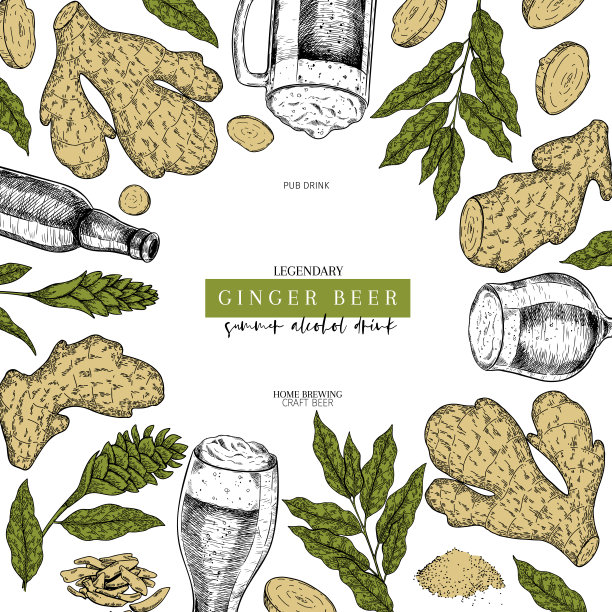 手绘啤酒节酒吧海报。姜汁啤酒。矢量玻璃，瓶子，生姜，切片，花和叶。酒吧酒精饮料。工艺啤酒折扣横幅节日菜单传单海报。图片下载