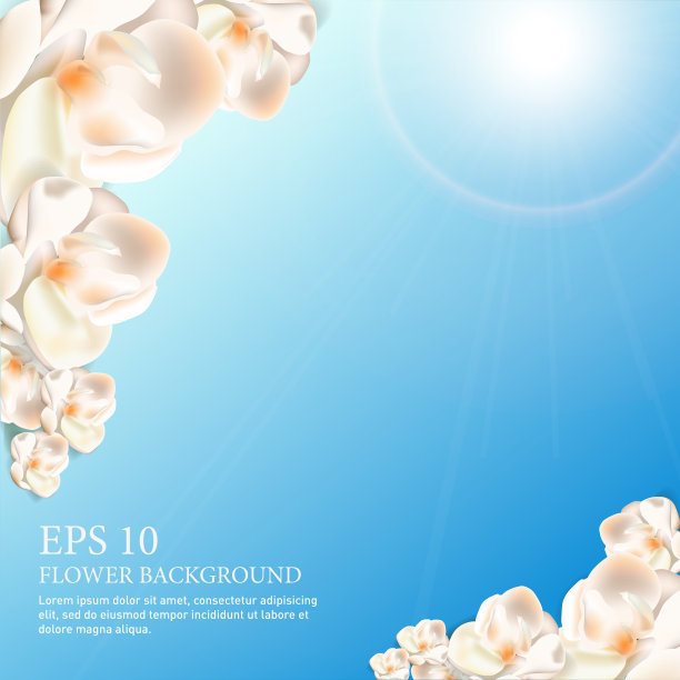 美丽的花朵边境图片下载