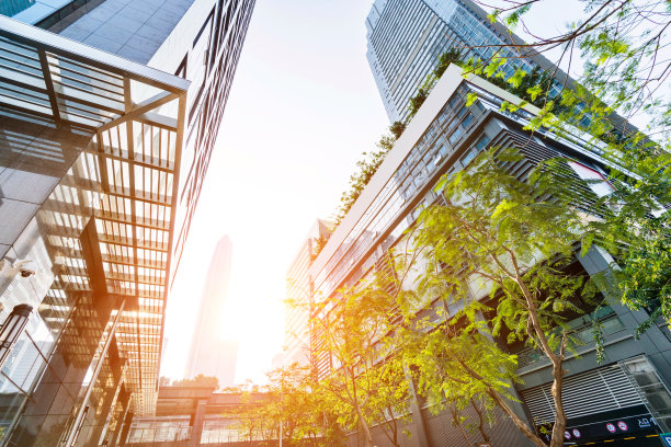 阳光下的办公摩天大楼图片下载