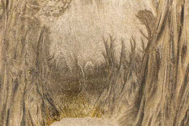 山和森林。图片下载