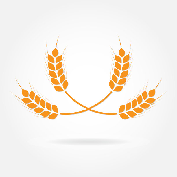 小麦穗或水稻的图标。孤立在白色背景上的农业符号。面包包装或啤酒标签的设计元素。矢量插图。图片下载