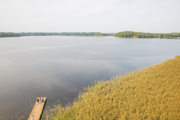 城市Zarasi,立陶宛。城市，湖泊和公园。绿色自然船和水。2018年旅游照片。图片下载